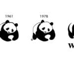 ¿Cuántos años tiene panda? cuantos-anos-tiene-panda