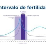 cuantos-anos-tiene-un-ciclo