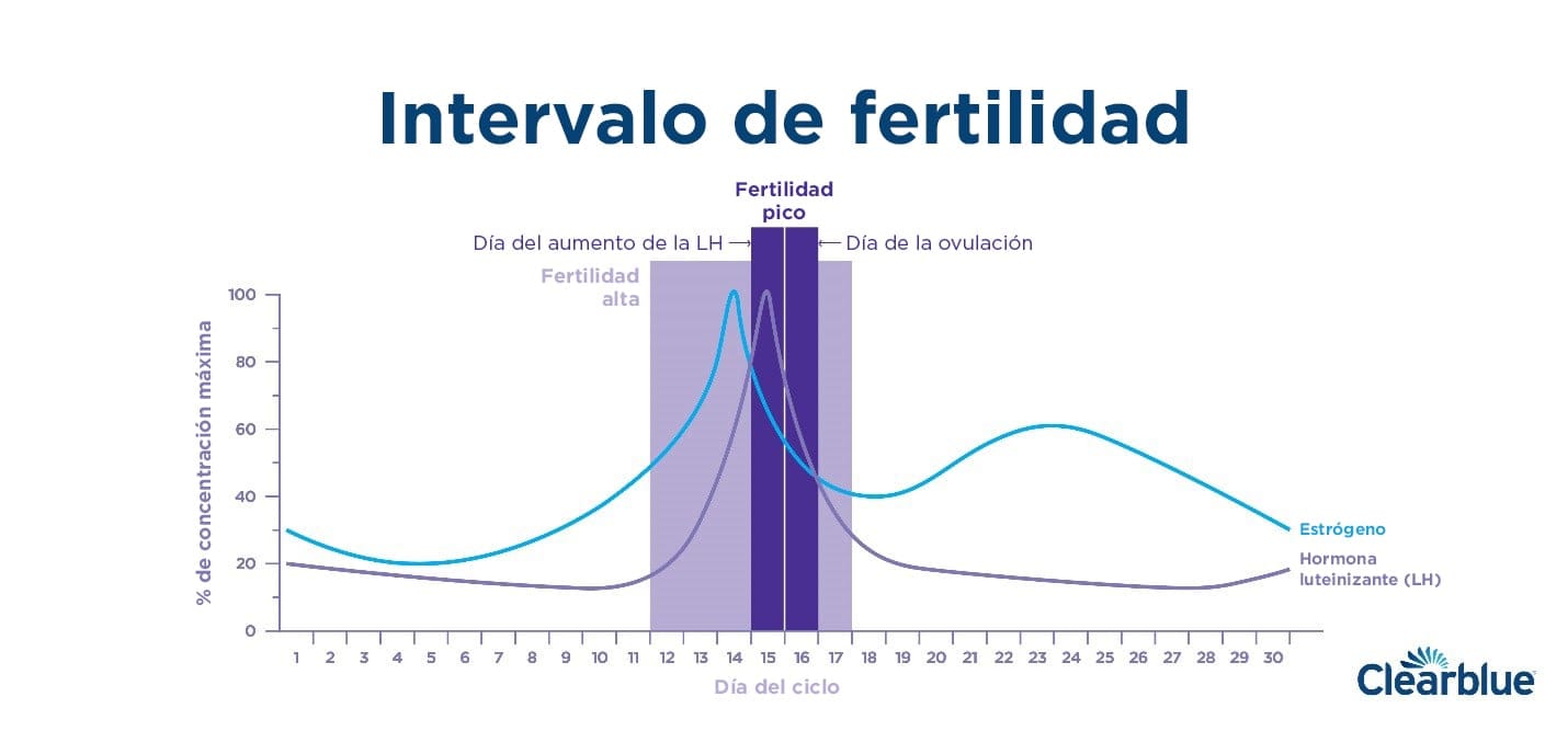 cuantos anos tiene un ciclo