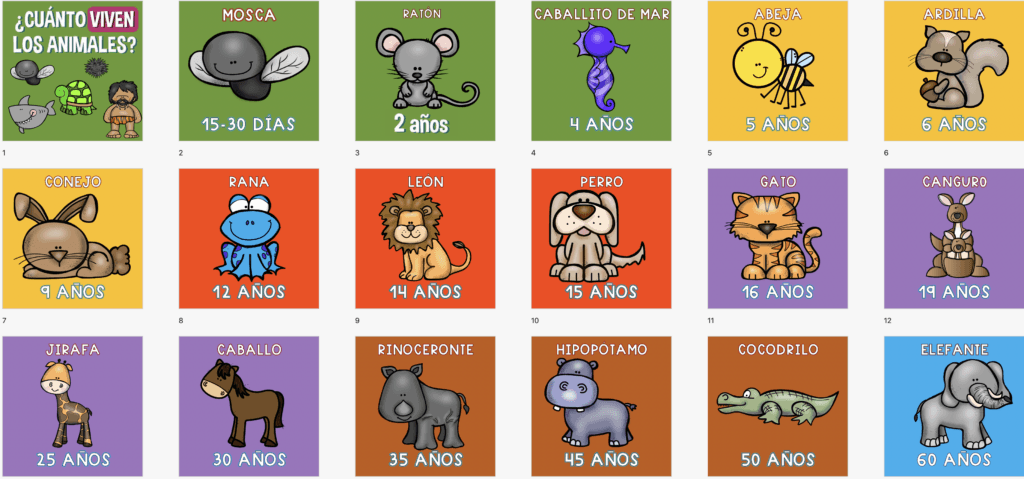 cuantos anos viven los animales