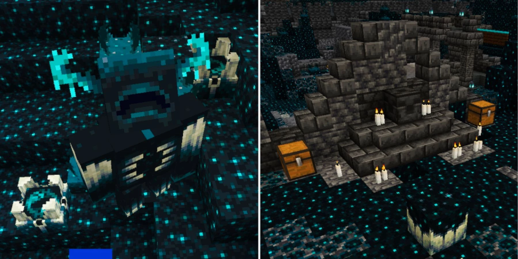 cuantos biomas hay en minecraft