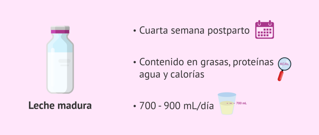 ¿Cuántos carbohidratos tiene la leche? 2 cuantos carbohidratos tiene la leche