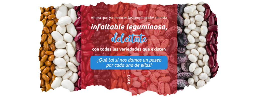 cuantos carbohidratos tienen los frijoles