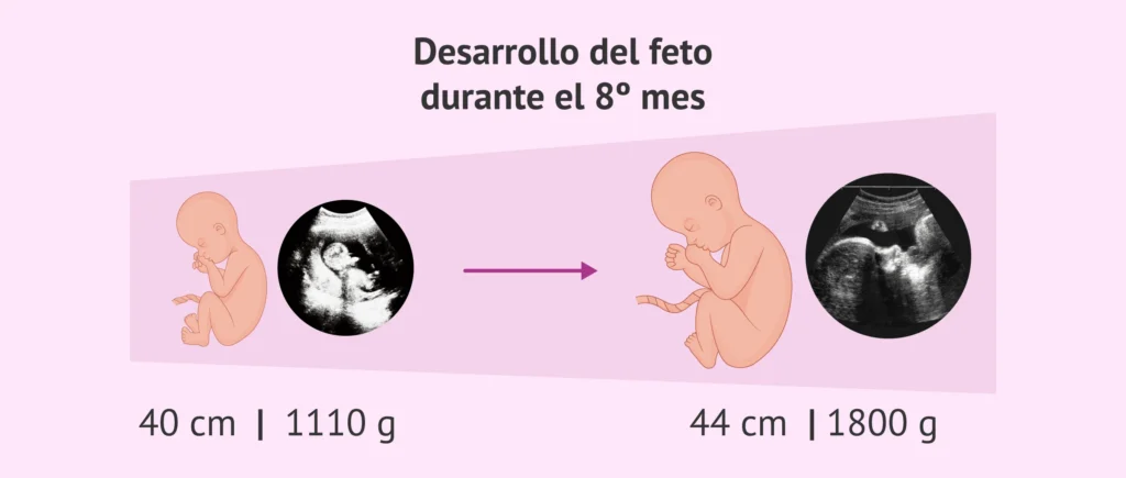 ¿Cuántos centímetros tiene un octavo? 2 cuantos centimetros tiene un octavo