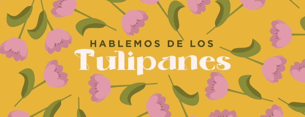 ¿Cuántos colores de tulipanes hay? 2 cuantos colores de tulipanes hay