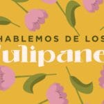 cuantos-colores-de-tulipanes-hay