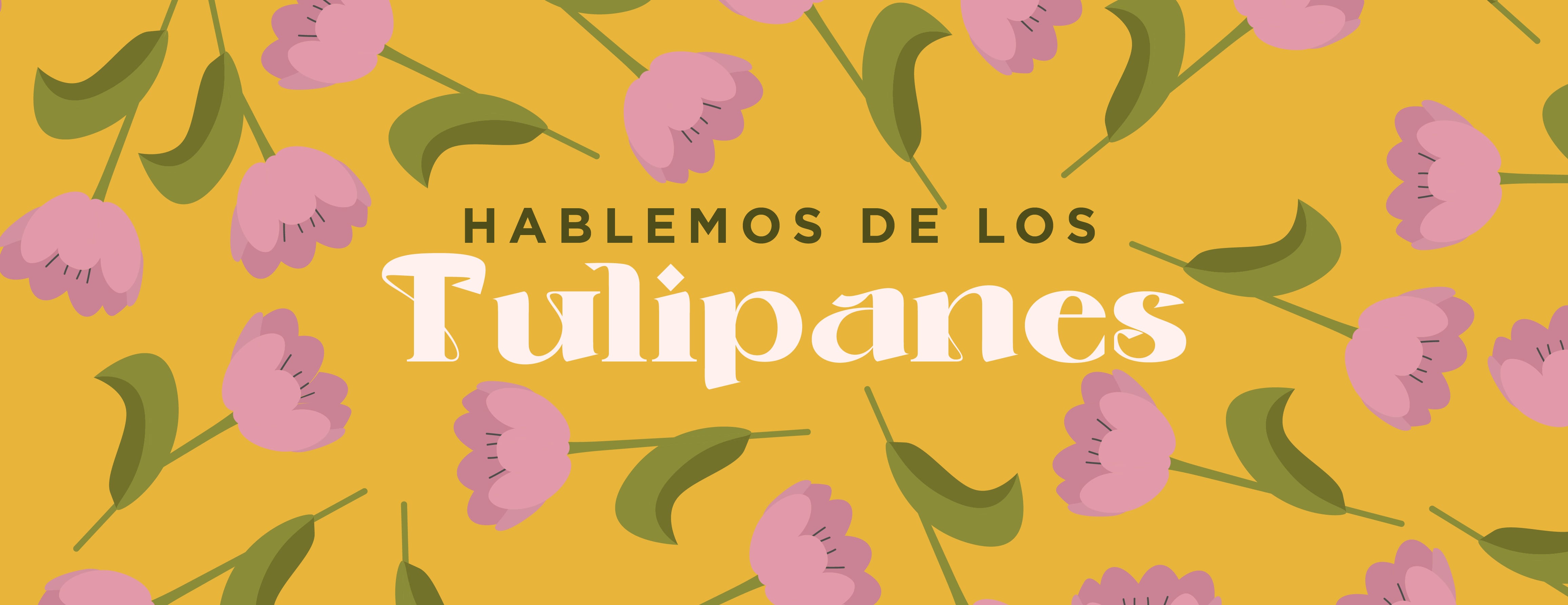 cuantos colores de tulipanes hay