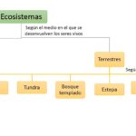 cuantos-cromosomas-tiene-un-elefante