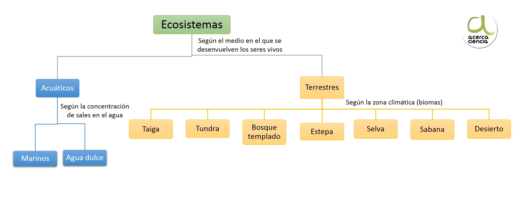 cuantos cromosomas tiene un elefante