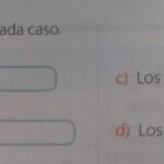 cuantos-cuatrimestres-tiene-un-ano