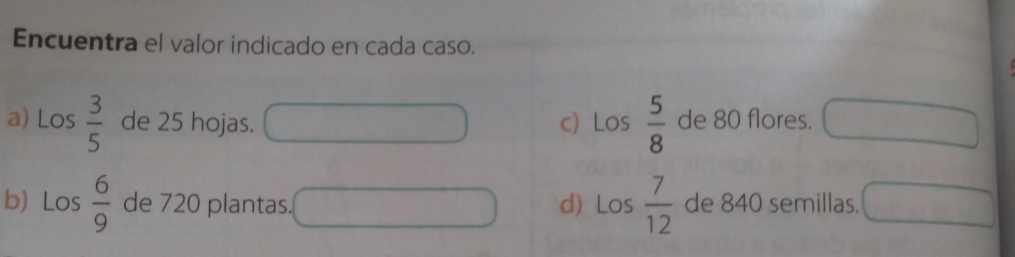 cuantos cuatrimestres tiene un ano
