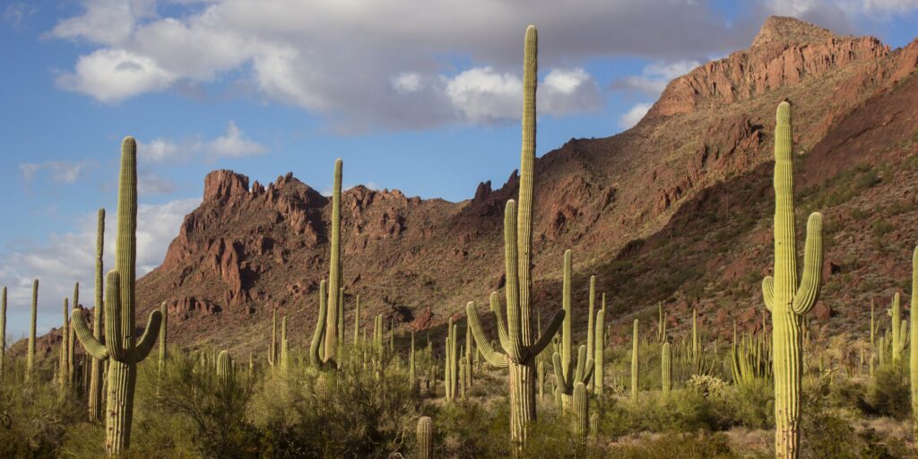 cuantos desiertos hay en mexico