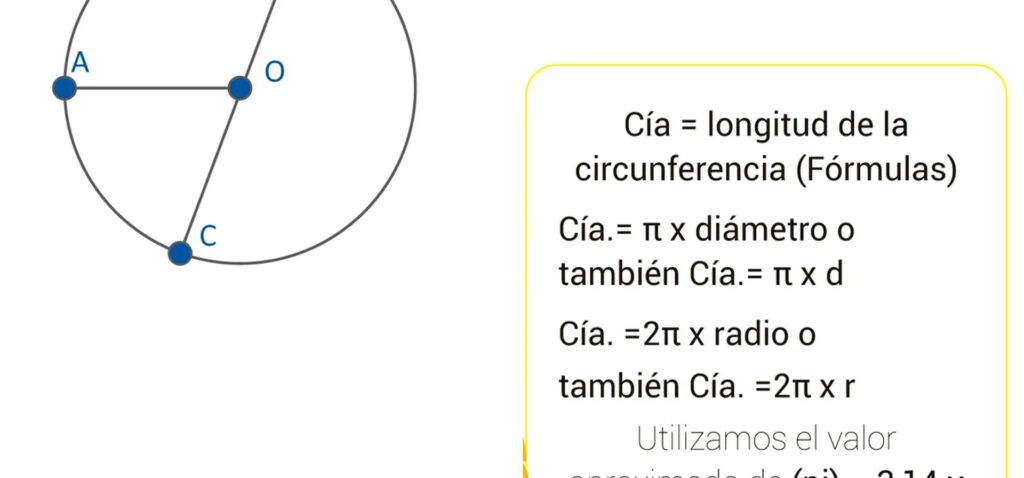 cuantos diametros tiene una circunferencia