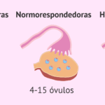 cuantos-dias-debo-usar-ovulos