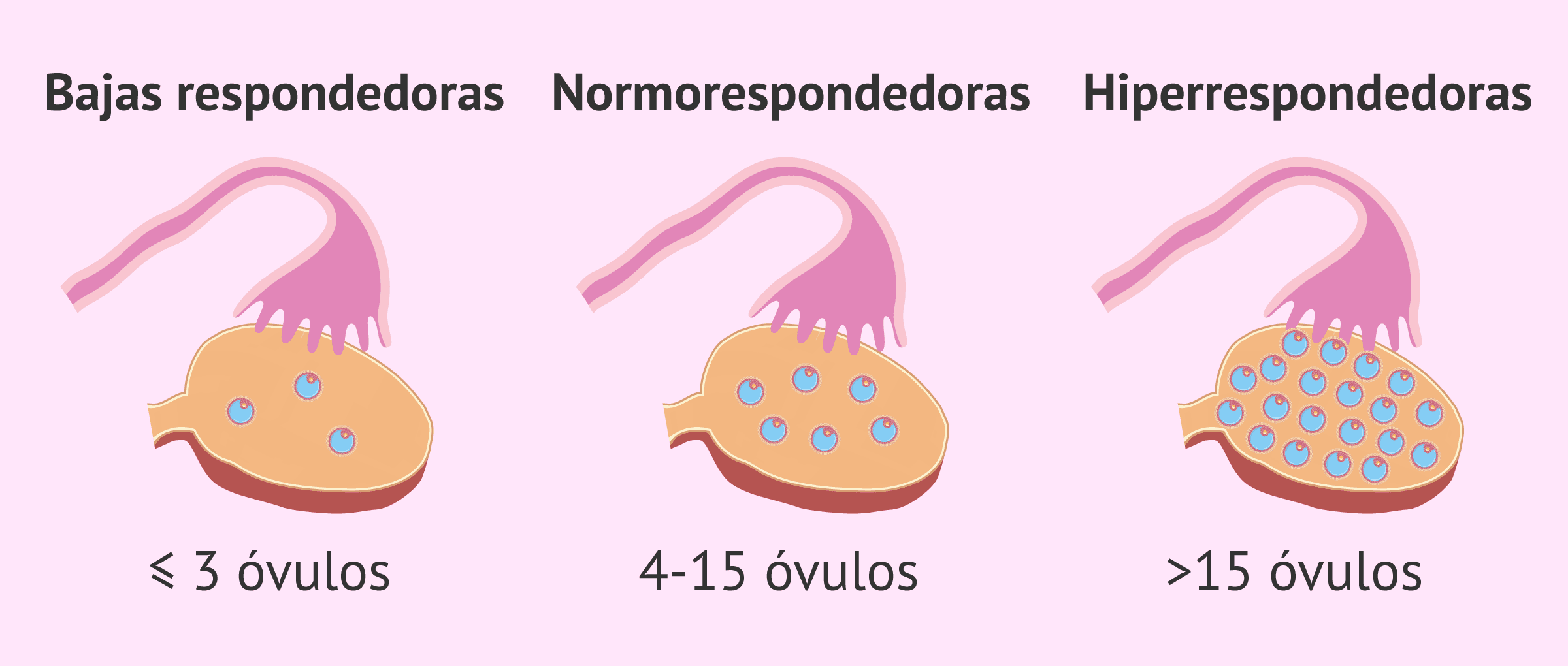 cuantos dias debo usar ovulos