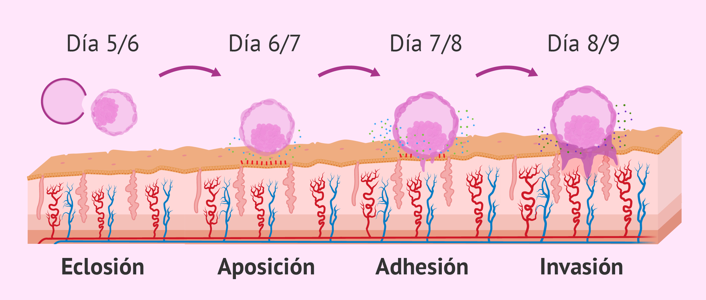 Blog 6 cuantos dias pasaron desde