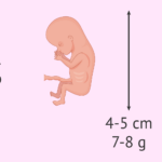 cuantos-dias-son-11-meses
