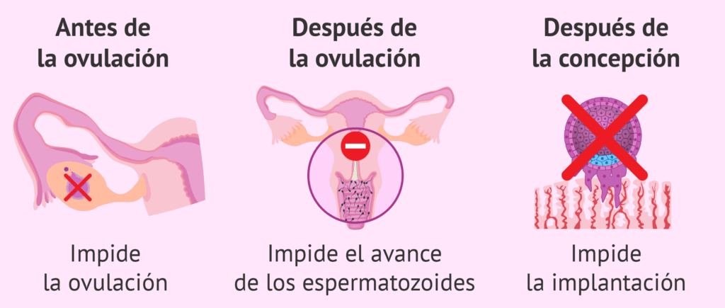 ¿Cuántos días son 72 hrs? 2 cuantos dias son 72 hrs