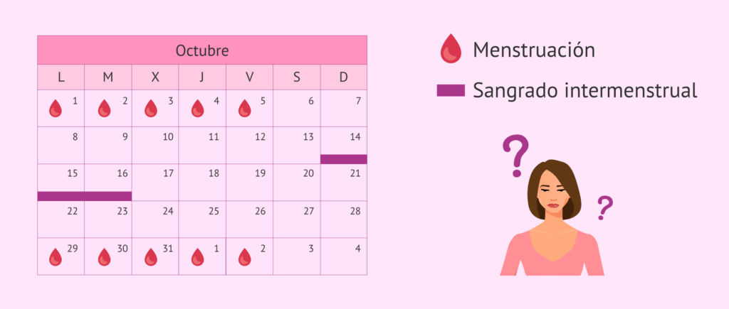 cuantos dias tarda la menstruacion