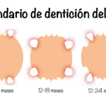 cuantos-dientes-tienen-los-ninos