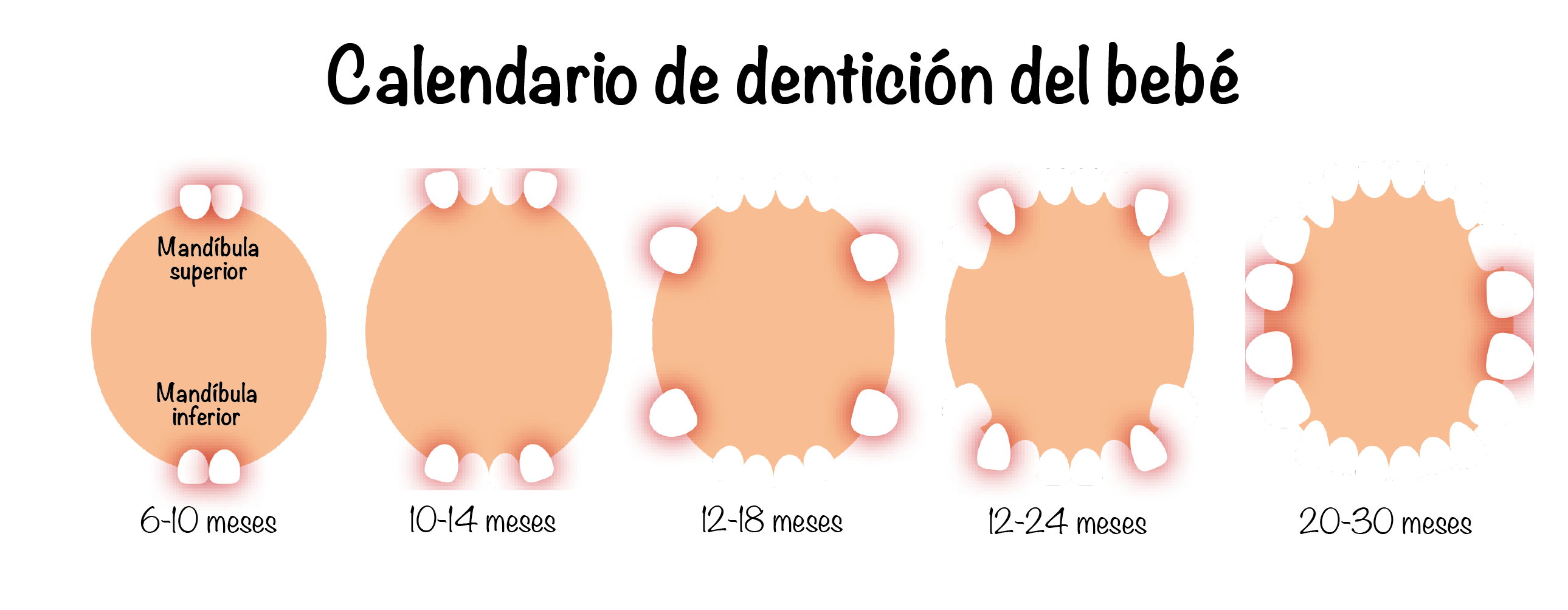 Blog 8 cuantos dientes tienen los ninos