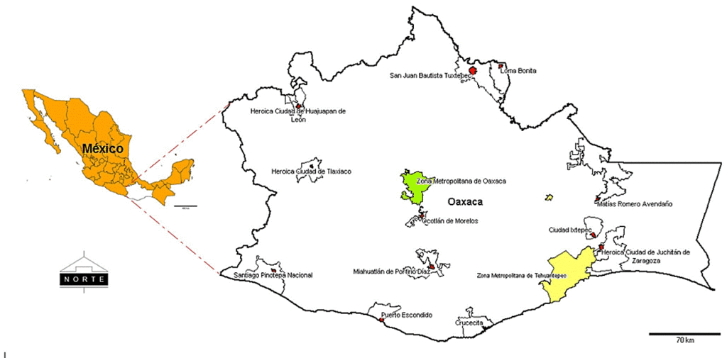 ¿Cuántos distritos tiene Oaxaca? 2 cuantos distritos tiene oaxaca