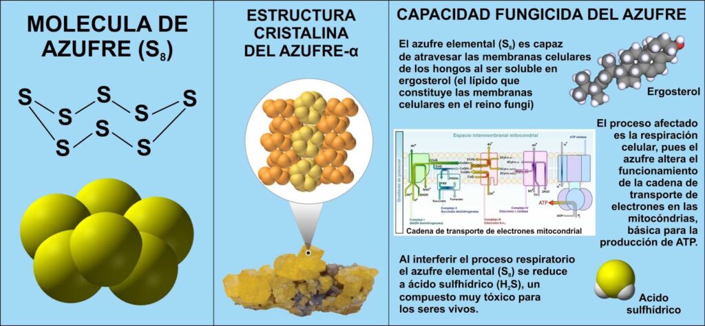 cuantos electrones tiene el azufre