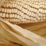cuantos-elotes-tiene-una-tonelada