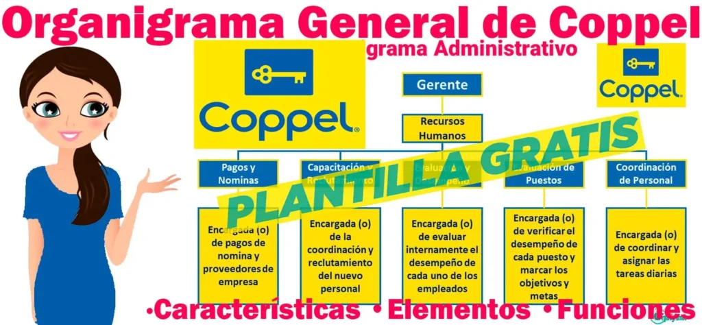 cuantos empleados tiene coppel