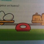 ¿Cuántos gramos pesa un huevo? cuantos-gramos-pesa-un-huevo