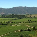 cuantos-habitantes-tiene-san-fernando