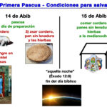 cuantos-hebreos-entraron-a-egipto