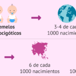 cuantos-hermanos-tienes