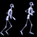 cuantos-huesos-tenemos-al-nacer