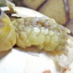 cuantos-huevos-ponen-las-tortugas