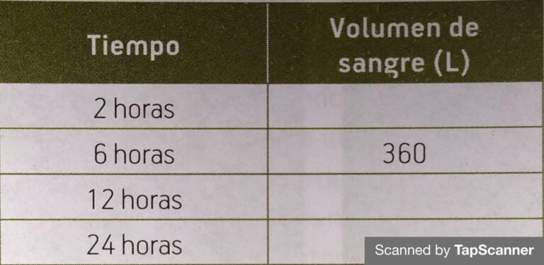 ¿Cuántos litros de sangre? – Cuanto.bid