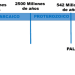 ¿Cuántos lustros tiene un milenio? cuantos-lustros-tiene-un-milenio