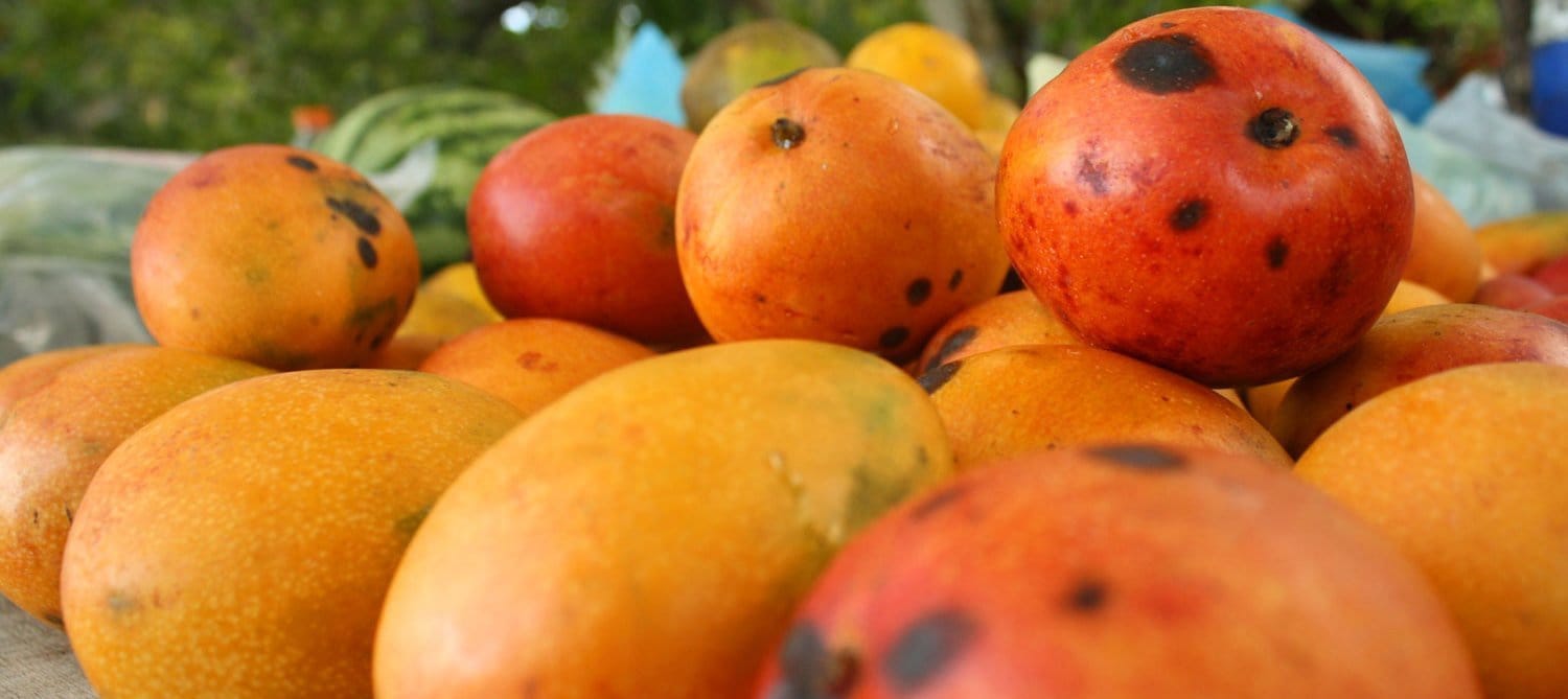 Blog 10 cuantos mangos tiene un kilo