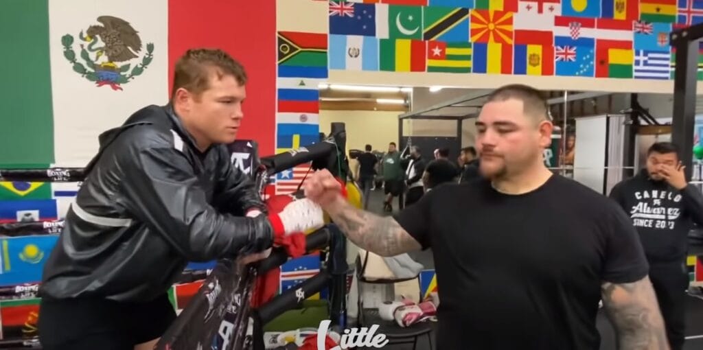 cuantos millones gano andy ruiz