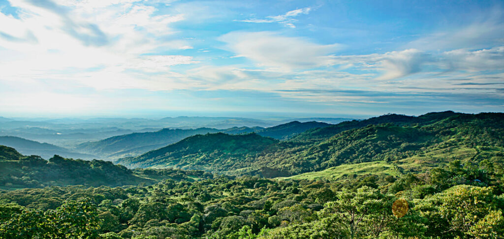 cuantos municipios tiene el cauca