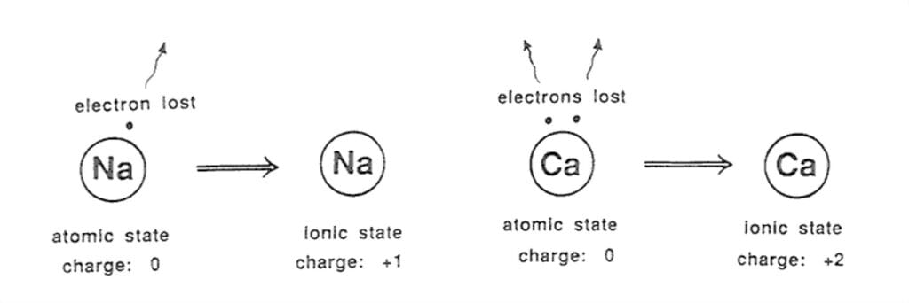 cuantos neutrones tiene el neon