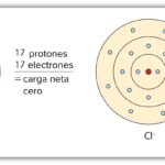 cuantos-neutrones-tiene-el-potasio