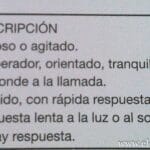 cuantos-niveles-de-conciencia-hay