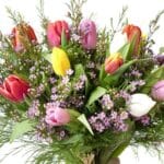 ¿Cuántos pétalos tiene un tulipán? cuantos-petalos-tiene-un-tulipan