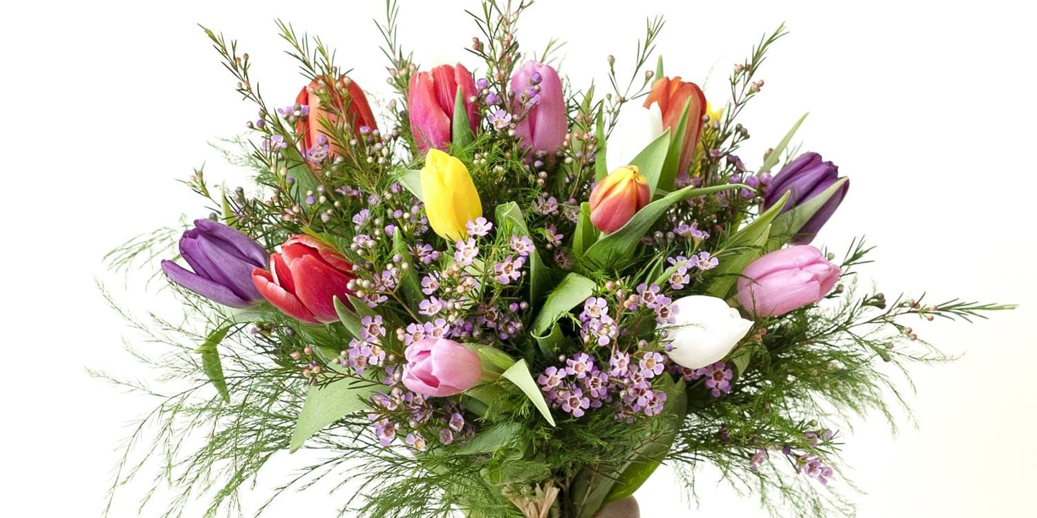 Blog 8 cuantos petalos tiene un tulipan