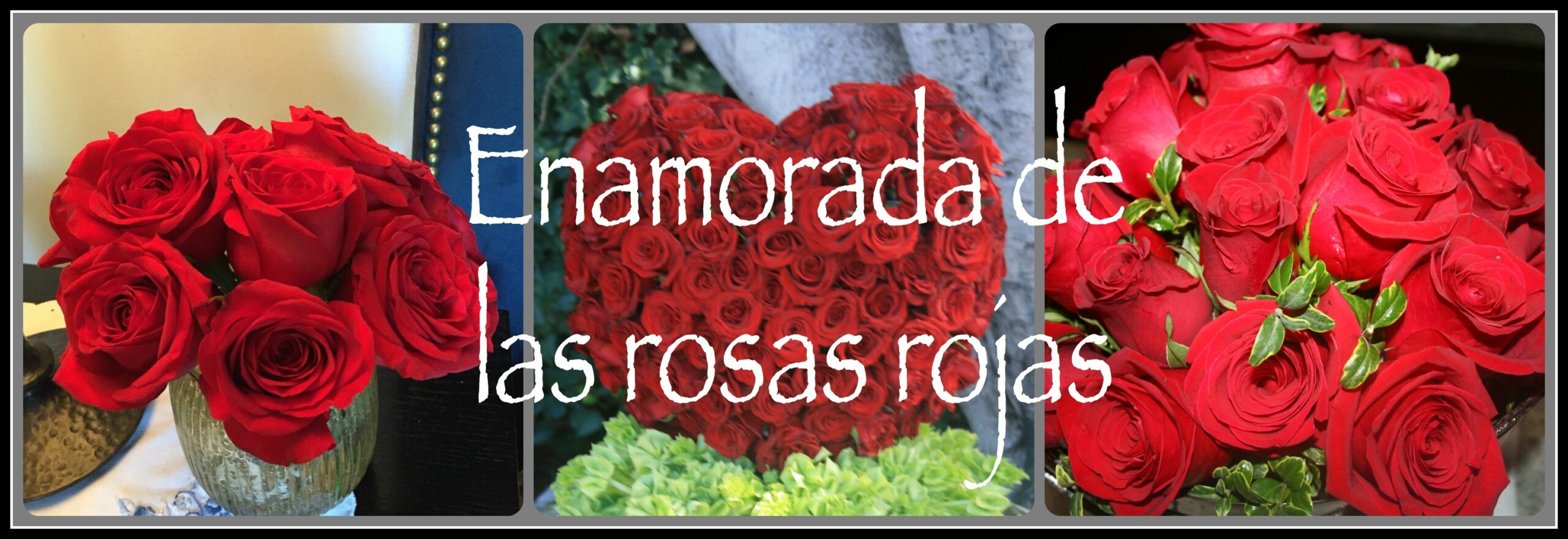 cuantos petalos tiene una rosa scaled