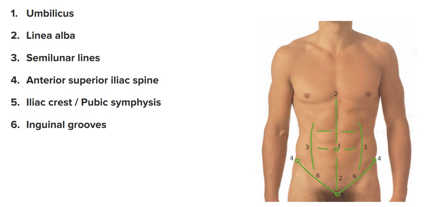 cuantos planos anatomicos hay