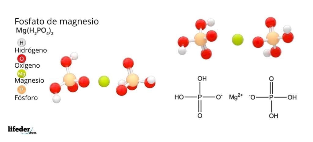 ¿Cuántos protones tiene el magnesio? 2 cuantos protones tiene el magnesio