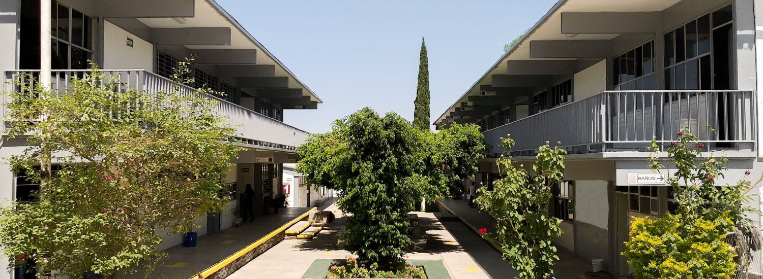 cuantos puntos pide el conalep
