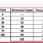 ¿Cuántos quetzales es un peso? cuantos-quetzales-es-un-peso